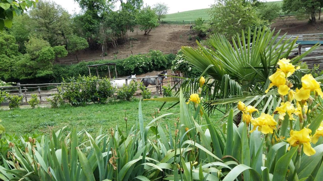 Villa San Filippo à Acquapendente Extérieur photo