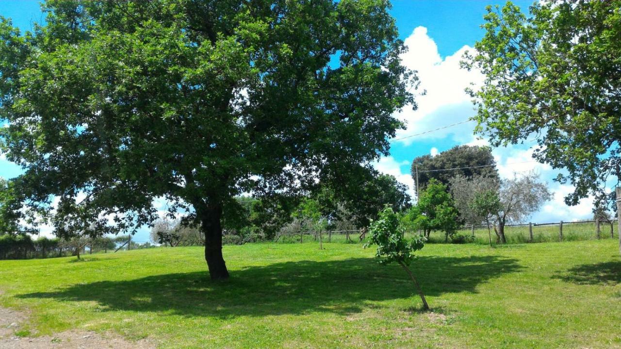 Villa San Filippo à Acquapendente Extérieur photo